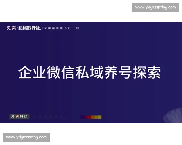 克拉斯与安致之争背后的商业策略与行业影响深度解析 克拉斯与安致之争背后的商业策略与行业影响深度解析