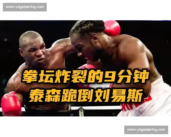 刘易斯与泰森巅峰对决回顾拳坛传奇瞬间揭秘